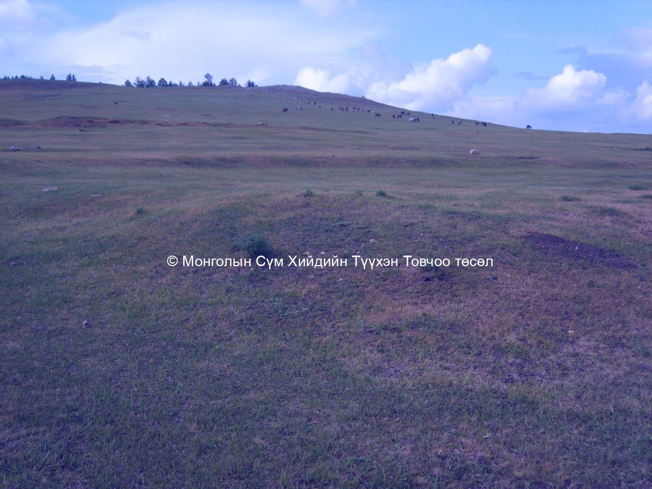 Зүүн талын туурь нь Баруун-Өмнөд талаас авсан